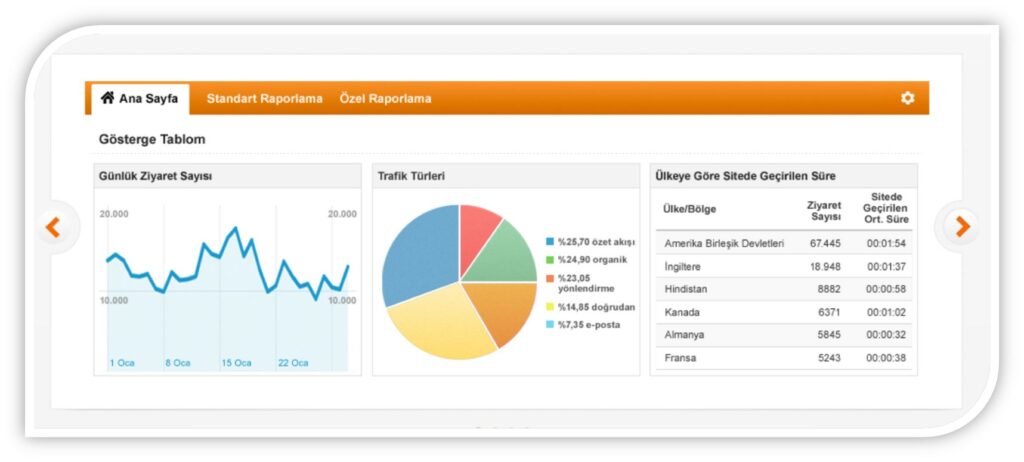 google analytics nedir